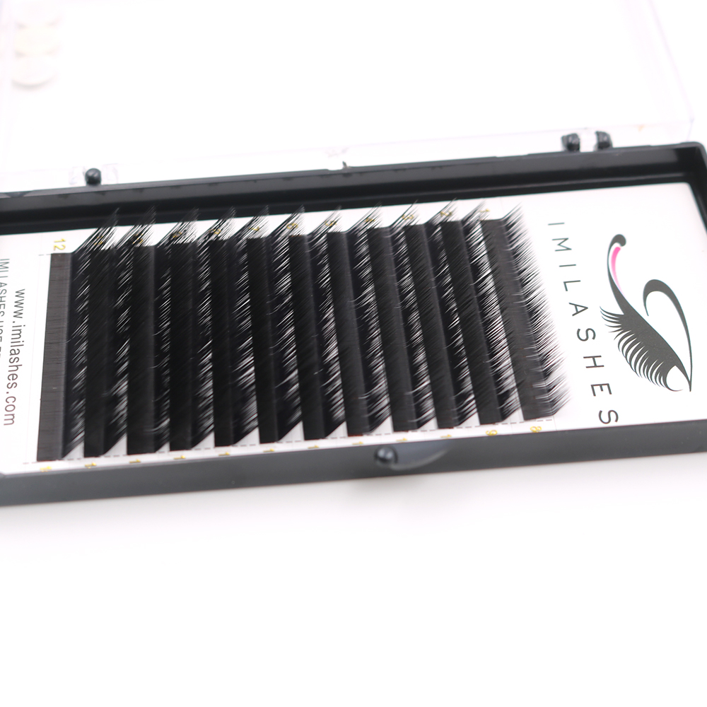 wholesale 0.07 lashes.JPG